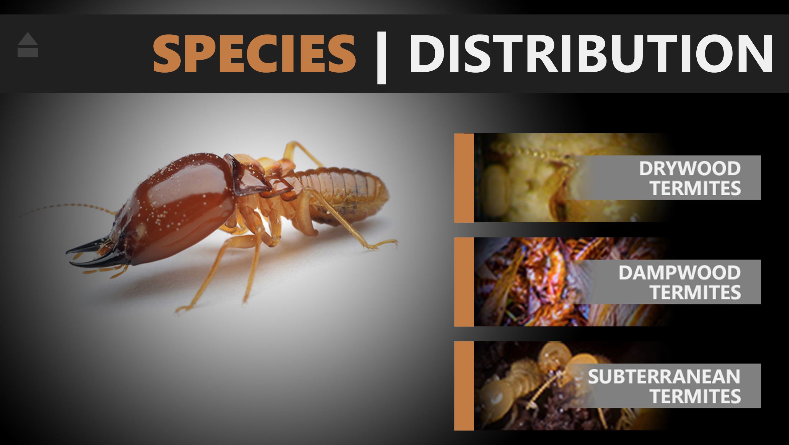 Stego Seminars Subterranean Termites Below Slab Protection Methodologies